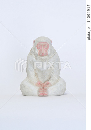 White Monkey2 White Monkey2 14094917