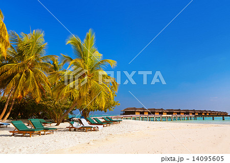 Tropical beach at Maldives Tropical beach at Maldives 14095605