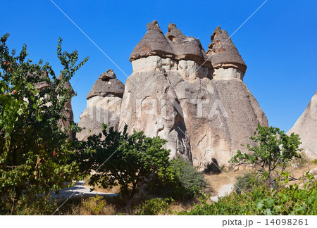 Fairy chimneys (rock formations) at Cappadocia Turkey 14098261