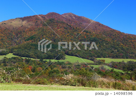 秋の上蒜山 14098596