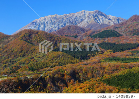 鬼女台からの大山と紅葉 14098597