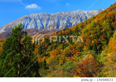 鍵掛峠からの紅葉の大山 14098633
