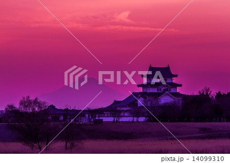 関宿城と富士山 関宿城と富士山 14099310