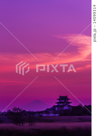 関宿城と富士山 14099314