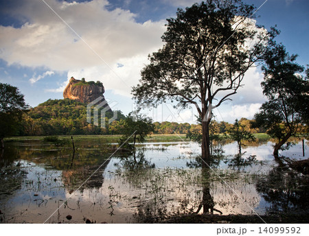 Sigiriya Lion Rock Fortress in Sri Lanka 14099592