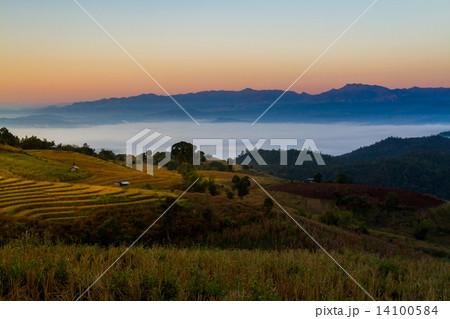 Terraced Paddy Field in Mae-Jam Village , Chaingmai Province , Thailand Terraced Paddy Field in Mae-Jam Village , Chaingmai Province , Thailand 14100584