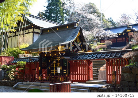 瑞鳳殿の春 瑞鳳殿の春 14100715