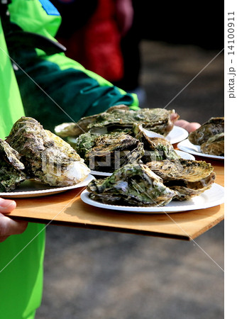 宮島 宮島 14100911