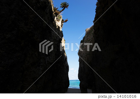 沖縄の海・ワルミ 14101016