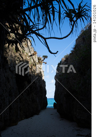 沖縄の海・ワルミ 14101026