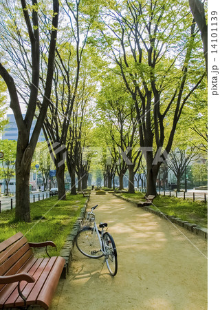 新緑の定禅寺通り公園 14101139