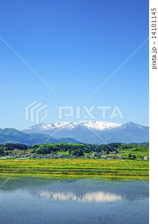 水田と蔵王連峰 14101145