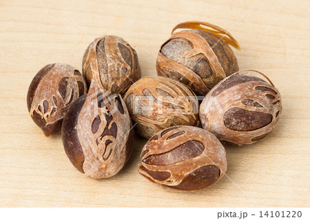 Close up and selective focus on the dried Nut Meg at foreground Close up and selective focus on the dried Nut Meg at foreground 14101220