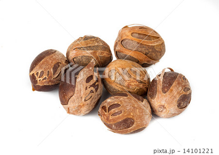 Close up and selective focus on the dried Nut Meg at foreground Close up and selective focus on the dried Nut Meg at foreground 14101221