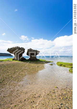 沖縄の海・本部町・奇岩のある風景 14101302