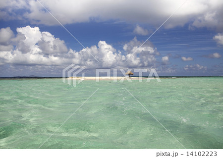 tropical beach in Carribean 14102223