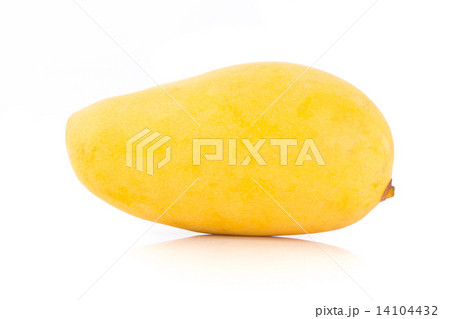 yellow mango fruit on a background yellow mango fruit on a background 14104432