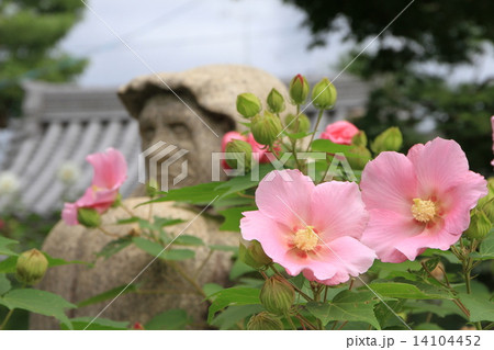 法輪寺 14104452