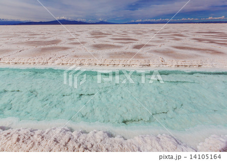 Salinas in Argentina 14105164
