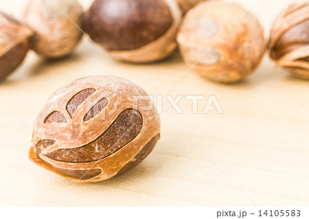 Close up and selective focus on the dried Nut Meg at foreground Close up and selective focus on the dried Nut Meg at foreground 14105583