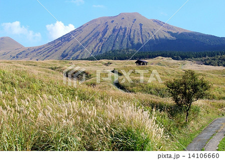 杵島岳と枯れススキの草原 14106660