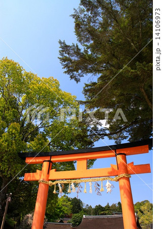 上賀茂神社 14106973