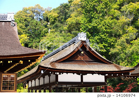 上賀茂神社 上賀茂神社 14106974