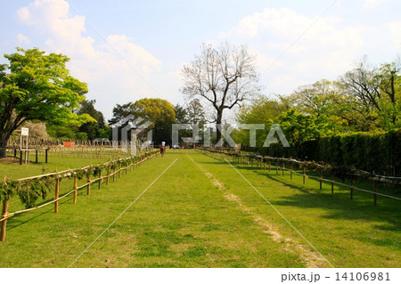 上賀茂神社 上賀茂神社 14106981