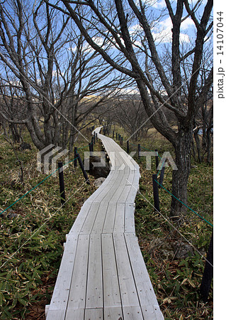 八島ヶ原湿原 14107044