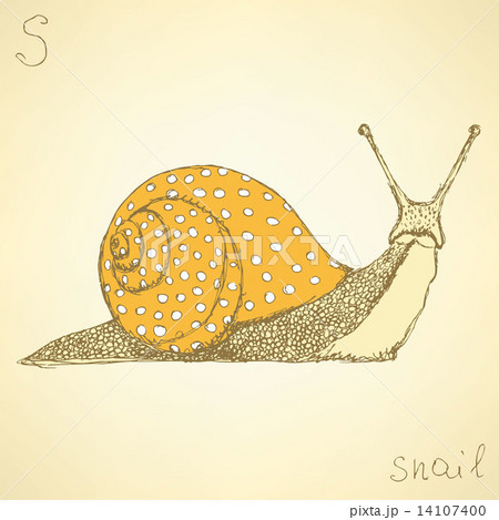 Sketch fancy snaill in vintage style 14107400