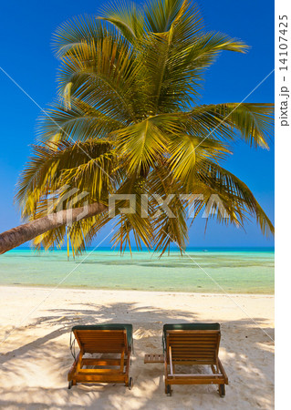 Loungers on Maldives beach 14107425