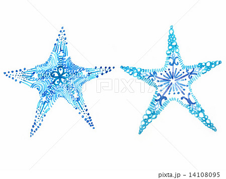 ひとで ヒトデ 海星 人手 海星 人手 海の生物 星型 星形 星 模様