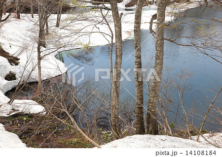 雪解けの月山地蔵沼 雪解けの月山地蔵沼 14108184