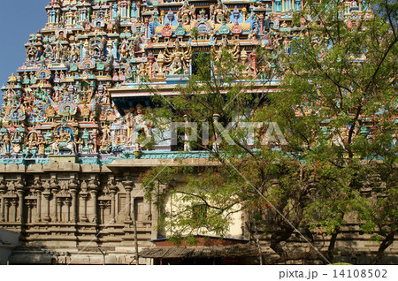 Meenakshi hindu temple in Madurai, Tamil Nadu, South India. Scul Meenakshi hindu temple in Madurai, Tamil Nadu, South India. Scul 14108502