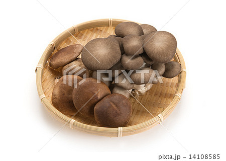 きのこの盛り合わせ 14108585