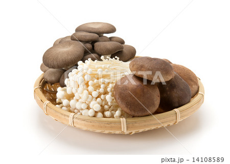 きのこの盛り合わせ 14108589