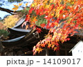 山形県　山寺 立石寺 紅葉 14109017