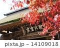 山形県　山寺 立石寺 紅葉 14109018