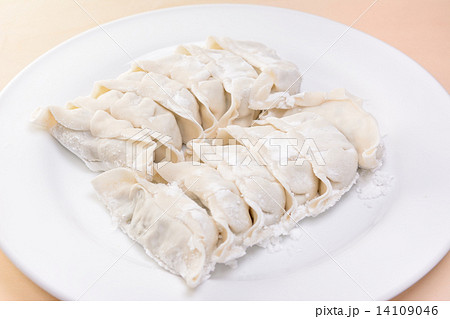 おいしい生餃子 14109046