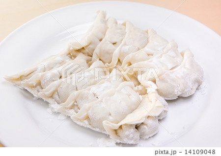 おいしい生餃子 14109048