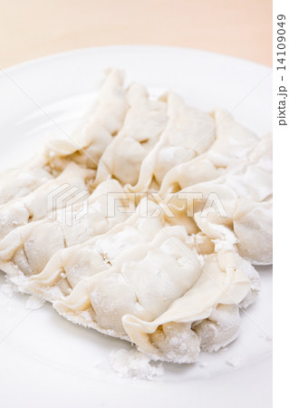 おいしい生餃子 おいしい生餃子 14109049