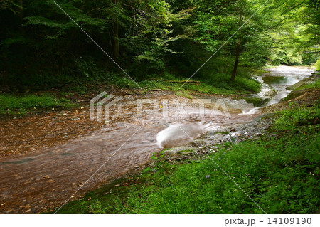滑川渓谷 14109190