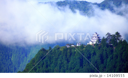 郡上八幡城 14109555