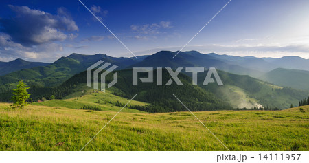Carpathian mountain 14111957