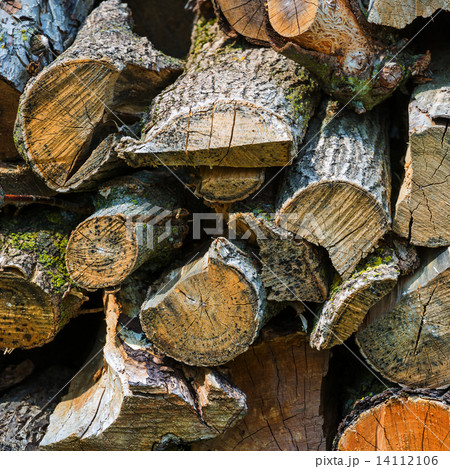 Pile of firewood Pile of firewood 14112106
