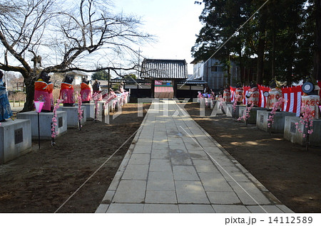 茂林寺の山門・参道(群馬県館林市堀工町1570) 茂林寺の山門・参道(群馬県館林市堀工町1570) 14112589