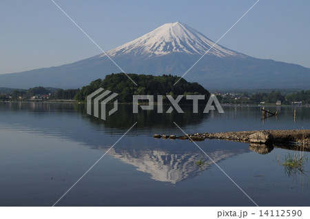 秀麗富士 秀麗富士 14112590