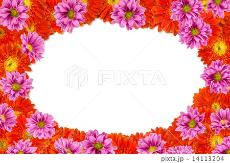 Flowers Flowers 14113204