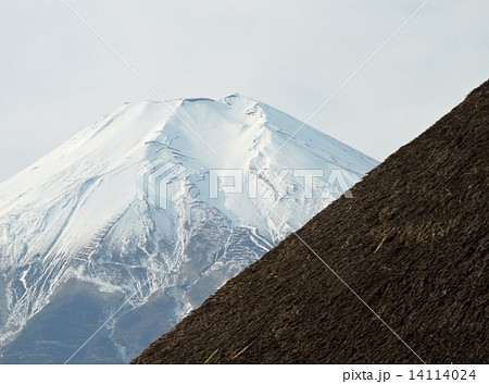 忍野村冠雪の富士 忍野村冠雪の富士 14114024