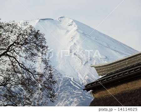 忍野村冠雪の富士 14114025